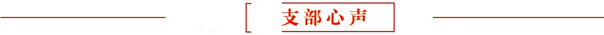 中国共产党瑞博域名官网使用方法第二次